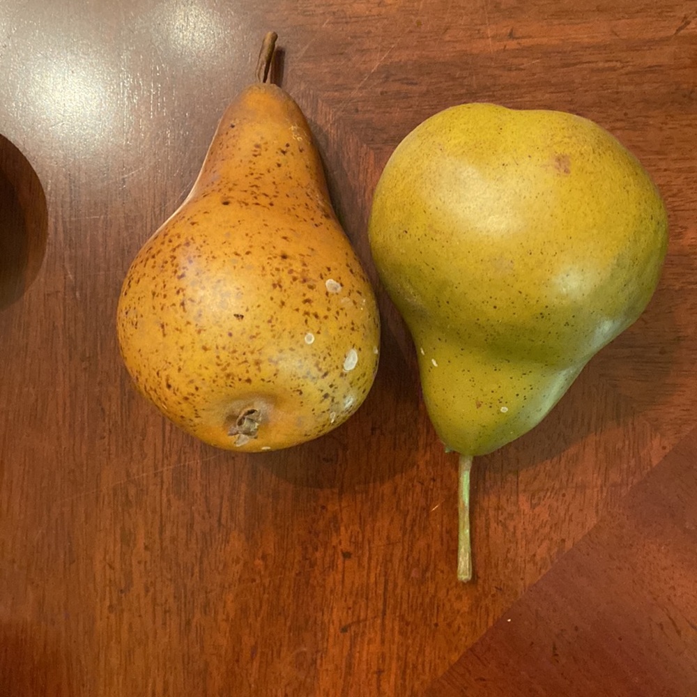 Fake Fruit - Picture 3 of 5